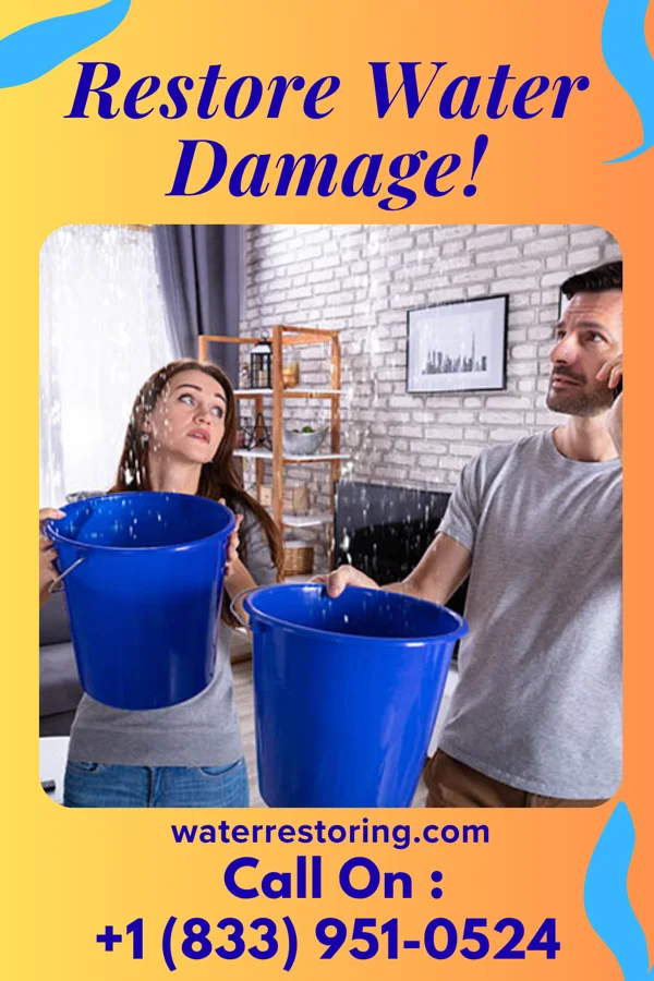 water restoration Trusted Water Damage & Sons Wyncote